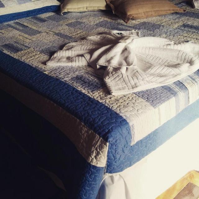 Varzea Palace Hotel Teresópolis Eksteriør billede