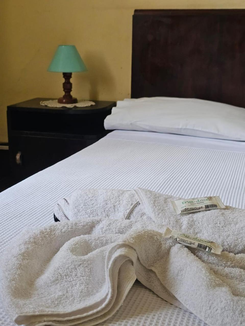 Varzea Palace Hotel Teresópolis Eksteriør billede